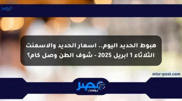 هبوط الحديد اليوم.. أسعار الحديد والأسمنت الثلاثاء 1 أبريل 2025 – شوف الطن وصل كام؟